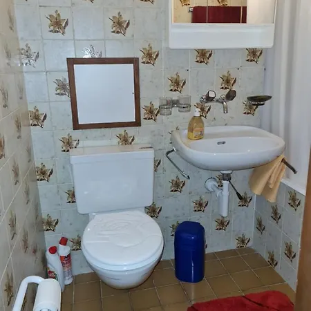 Le Cleuset, 59, Torgon Schweiz Apartment *