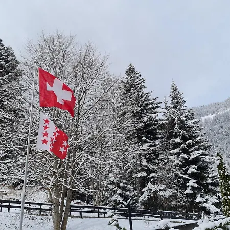 Le Cleuset, 59, Torgon Schweiz Vionnaz