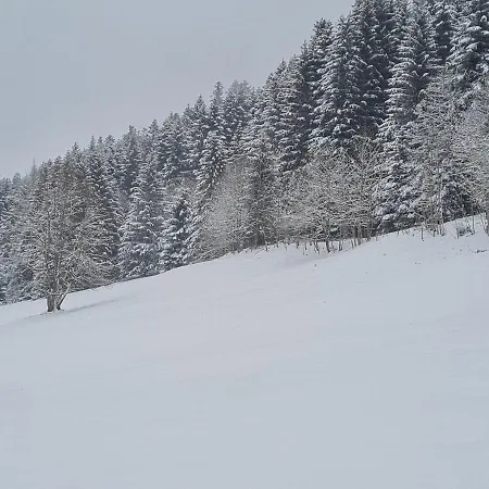 Le Cleuset, 59, Torgon Schweiz Apartment Vionnaz